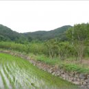 구산면517 이미지