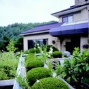 김포 다도박물관 이미지