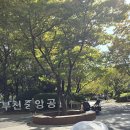 부천 중앙 공원 국화 축제 준비 이미지