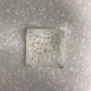 장미꽃과나이팅게일외과의원 이미지