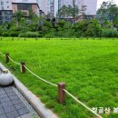 빛과 소금 이미지