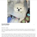 한남심장내과동물병원 이미지