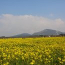 왕자타이어 | 제주도 다자녀 가족 여행 완전 정복
