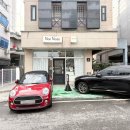 나드리 애견 이미지