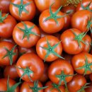 (주)굿모닝팜 이미지