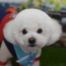 도담도담펫살롱 이미지