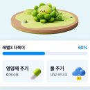 반려식물키우기 이미지