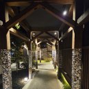 식도원 | 이마리역맛집 센트럴이마리호텔맛집 TOP3 식도원 교자무진 키라히이라기이자카야