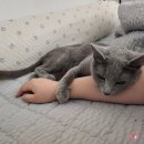 1시 반에 웨이팅 마감? 평택 우리바다수산 알배기 주꾸미 솔직후기