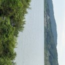 구찌네집 이미지