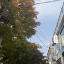 햇살미용실 | 연남동미용실 에이메르헤어 다영쌤 톤다운 염색 후기｜가을 햇살 아래 인생컬러 찾았어요☀️