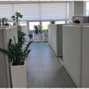 비젼부동산공인중개사사무소 이미지