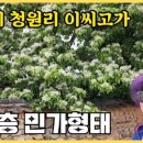 진주 청원리 이씨고가 | 진주 청원리 이씨고가, 진주 청원리 이팝나무 #진주가볼만한곳 #진주청원리이씨고택 #진주청원리이팝나무