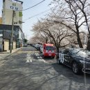 태화로타리하부공영주차장앞 이미지