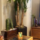 2019-주082 이미지