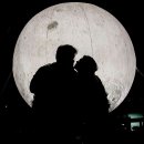 콩밭매는 강아지 이미지