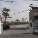 익산초등학교 이미지