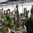 지인농원 이미지