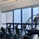 어뮤즈핏 이미지