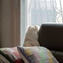 베베네 개스트하우스 이미지