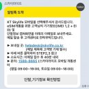 카카오페이 알뜰폰 요금제 이벤트 | KT 스카이라이프 esim 오류 후기