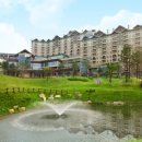 델피노숲 이미지