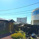 스코리아(청굴물) 이미지