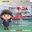 291 이미지