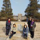 연세대학교 교정 및 홍제천 탐방 이미지