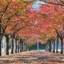 삼성3차아파트 이미지