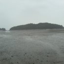 소라면 장척 이미지