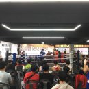 거북복싱체육관 이미지