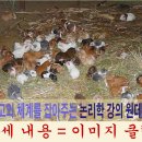 전통토끼식당 이미지