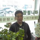 서해벤뎅이식당 이미지