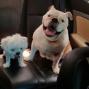 하늘채펜션 이미지