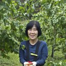 상동 469 이미지