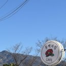 중노마을회관 | 양산 강아지카페 추천｜편안한 힐링공간 반려견 동반 카페 [동백처럼]