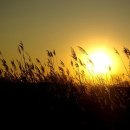 바람소리 이미지