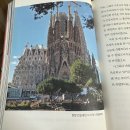 강이석 카카오 검색결과