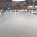 선산대로-20 이미지