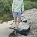 레이지비(주) 이미지