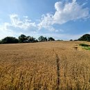 갈곡농장 이미지