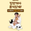 마이도 아주경제