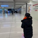 강서구청사(브라이트센터포함) | 김포공항 주차대행 최저가 추천 단기 주차장 할인