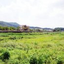 삼하리민박 이미지