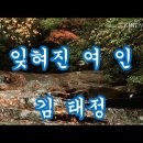 잊혀진 여인 가사 / 김 태정 이미지