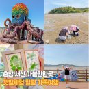 왕산어촌체험휴양마을