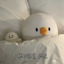 영베베 이미지