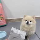 컴피 화명점 이미지