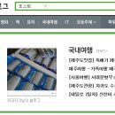 먹돌새기 이미지